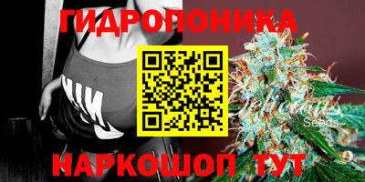 не бодяженный Лесосибирск